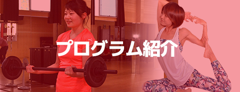 プログラム紹介